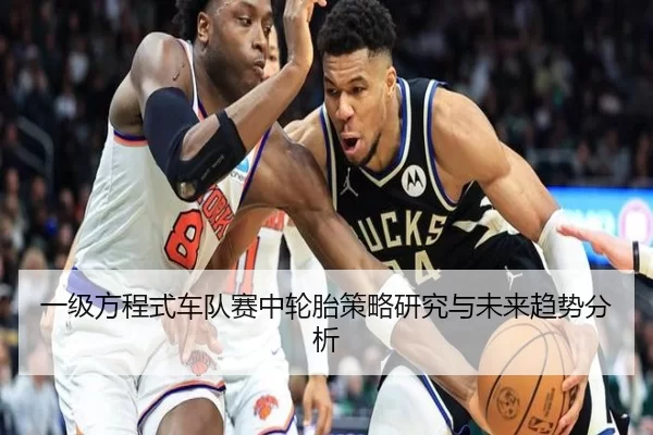 一级方程式车队赛中轮胎策略研究与未来趋势分析
