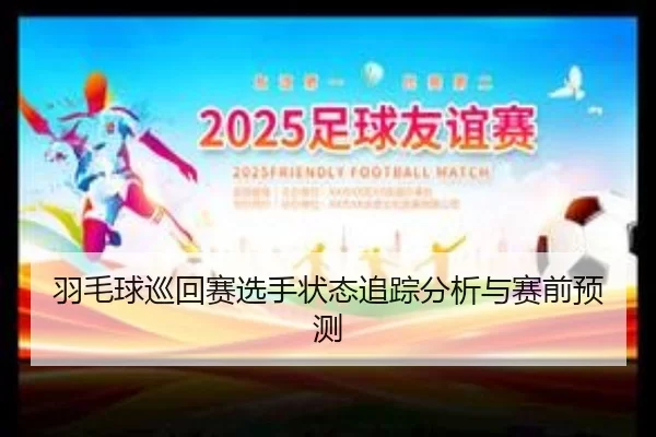 羽毛球巡回赛选手状态追踪分析与赛前预测